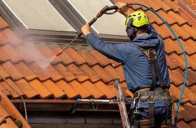 Démoussage et hydrofuge de toiture à Seix
